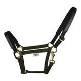 Licol EQUEST EQ Stretch | Finition laiton