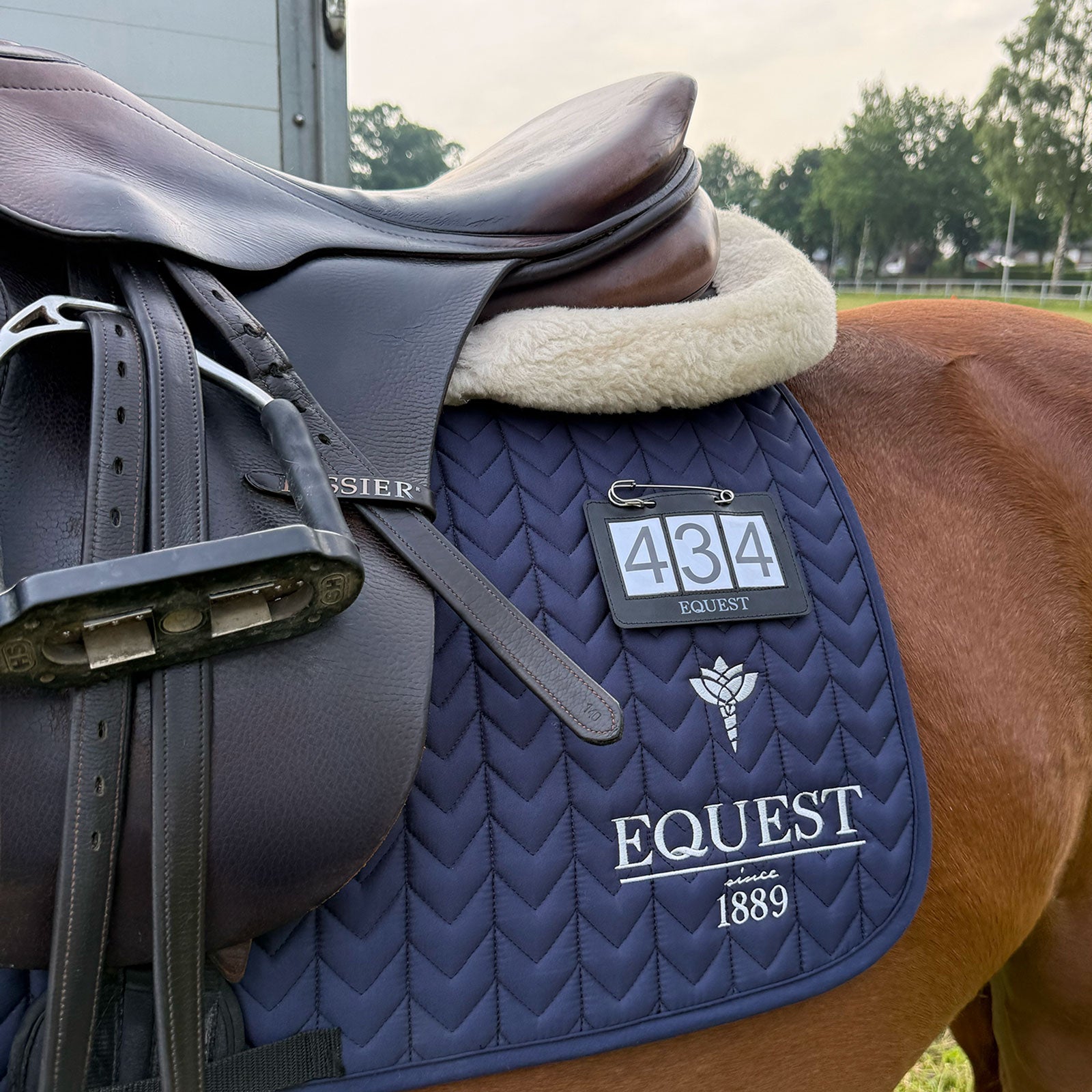 EQUEST by Hoelscher