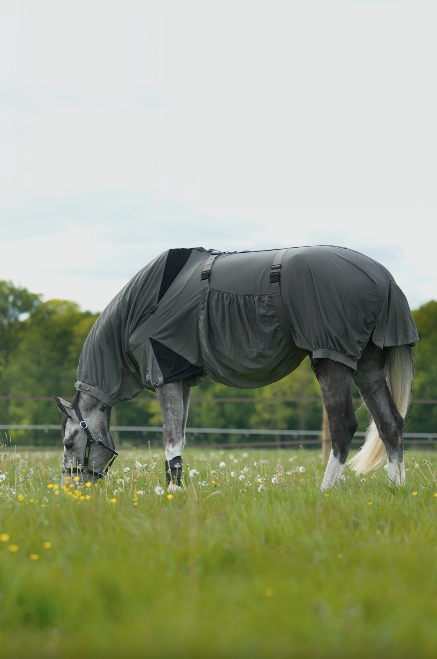 Video laden: EQUEST Ekzemer Decke Culex C³ inkl. Maske