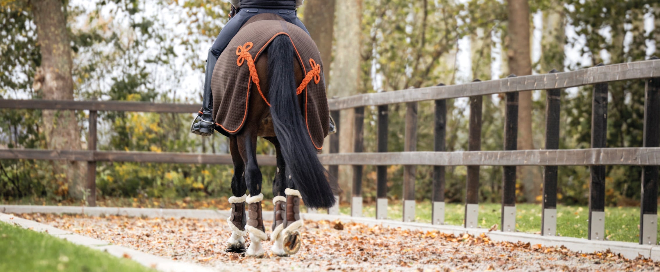 EQUEST Schnurengurt Soft beim Reiten – Stimmungsbild mit Pferd und Reiter