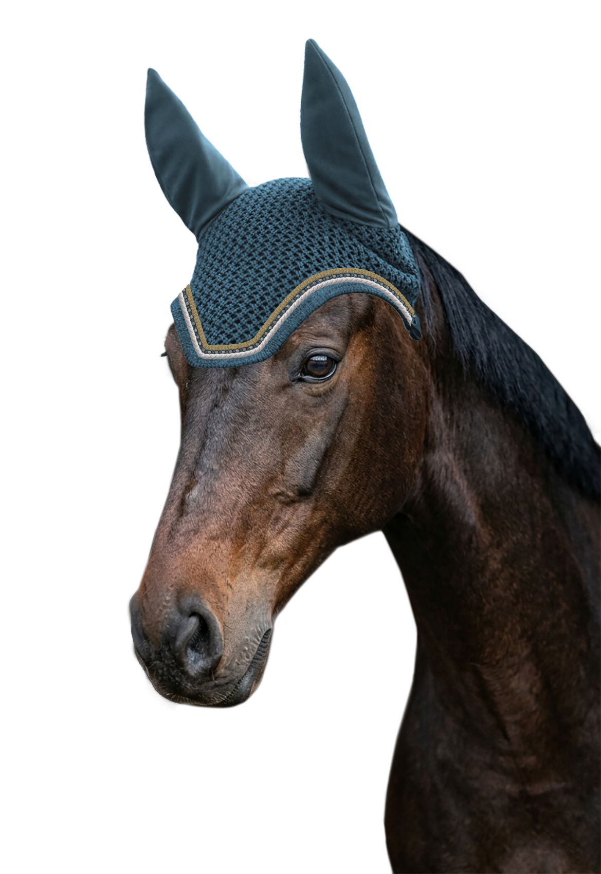 Fly Veil