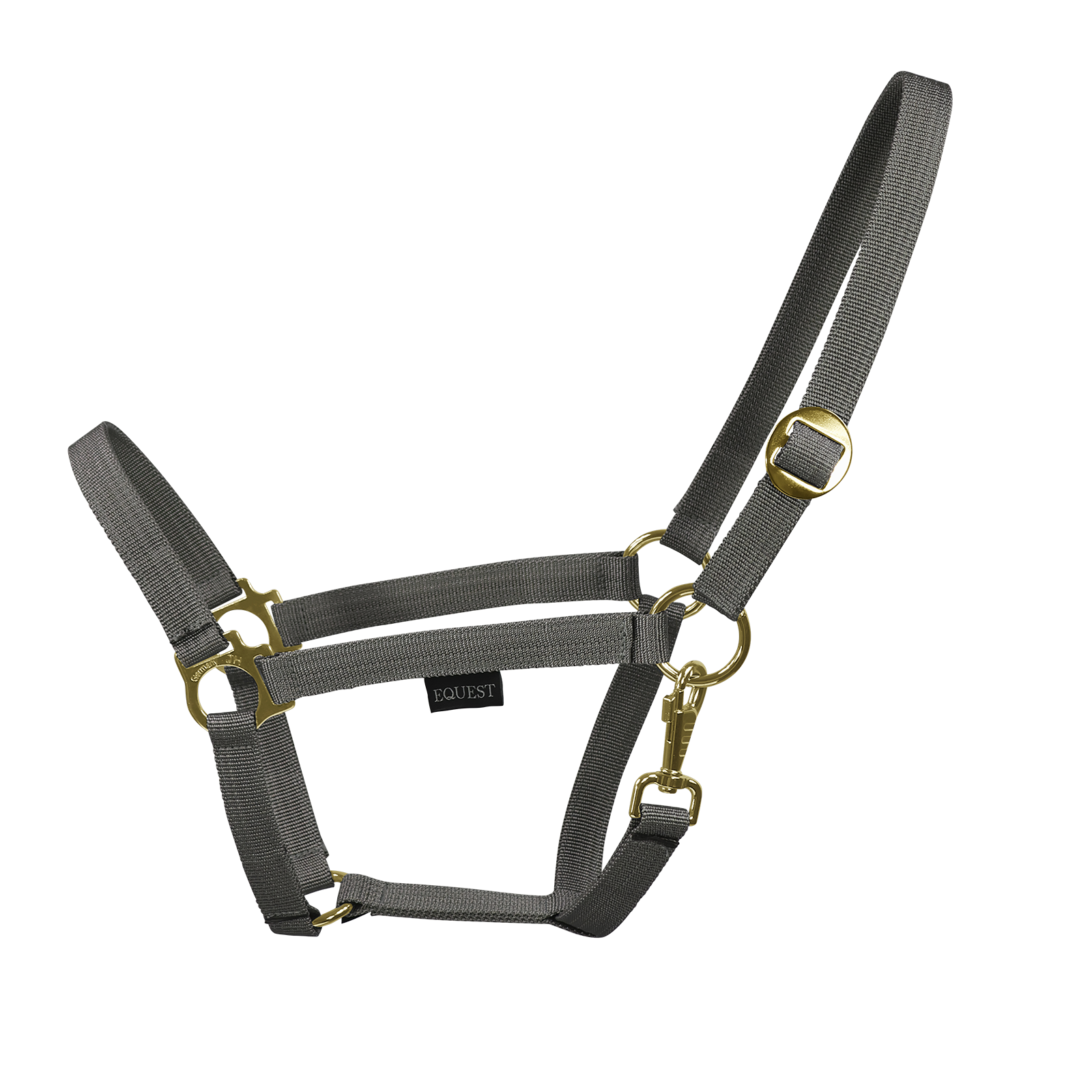 EQUEST Halfter Regular | Messing Finish