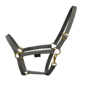 EQUEST Halfter Regular | Messing Finish