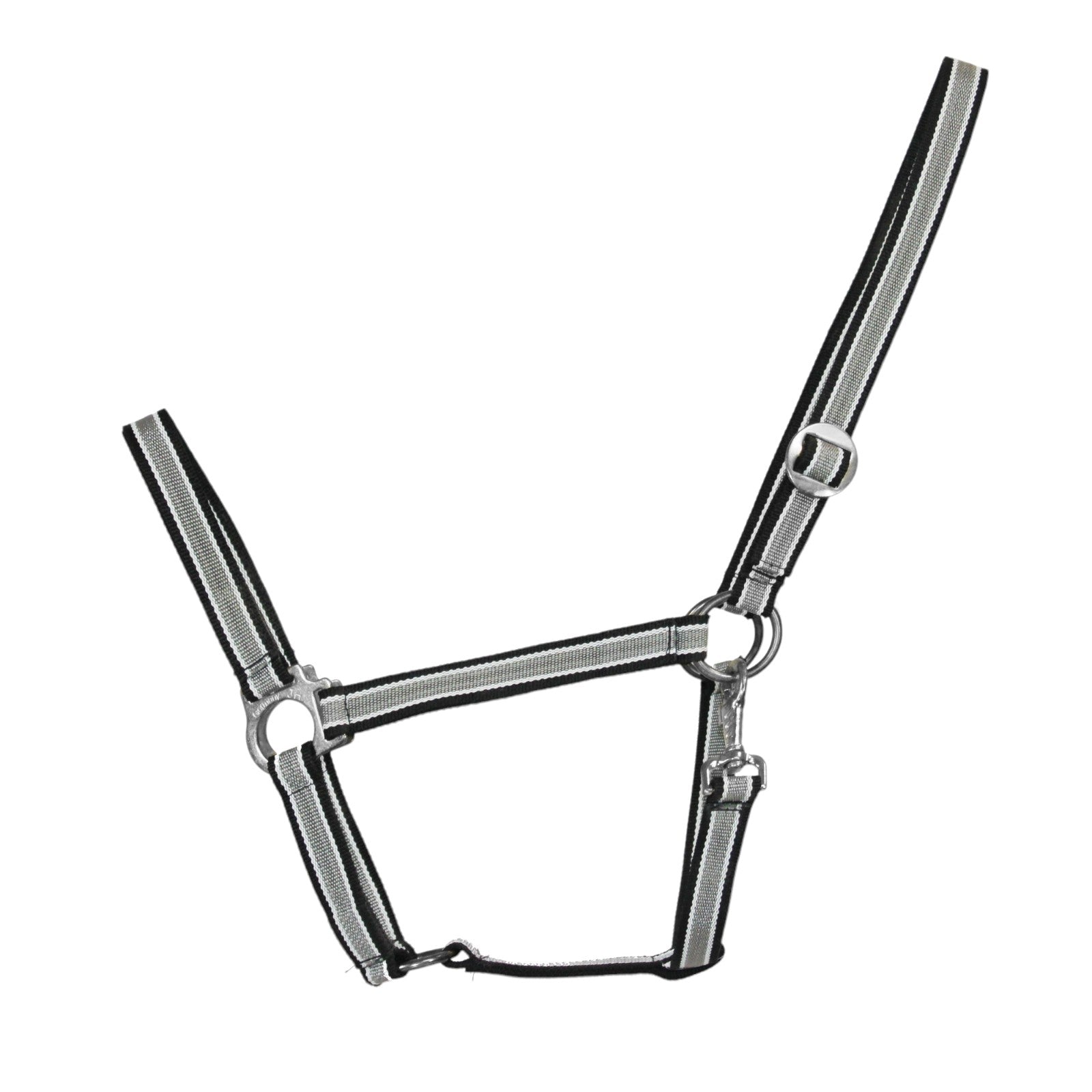 EQUEST Halfter Regular | Chrom Finish