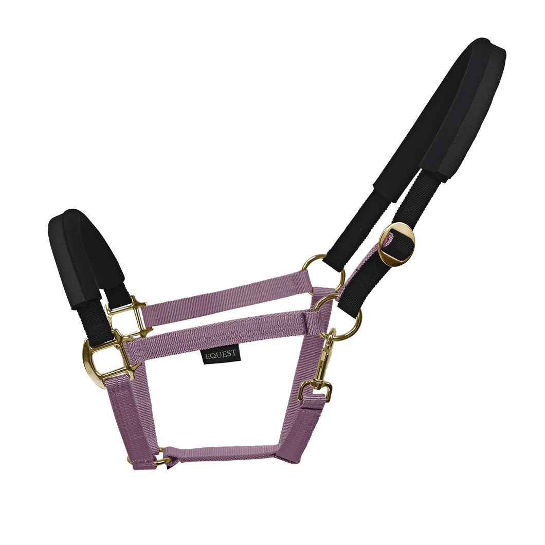 Licol EQUEST EQ Stretch | Finition laiton