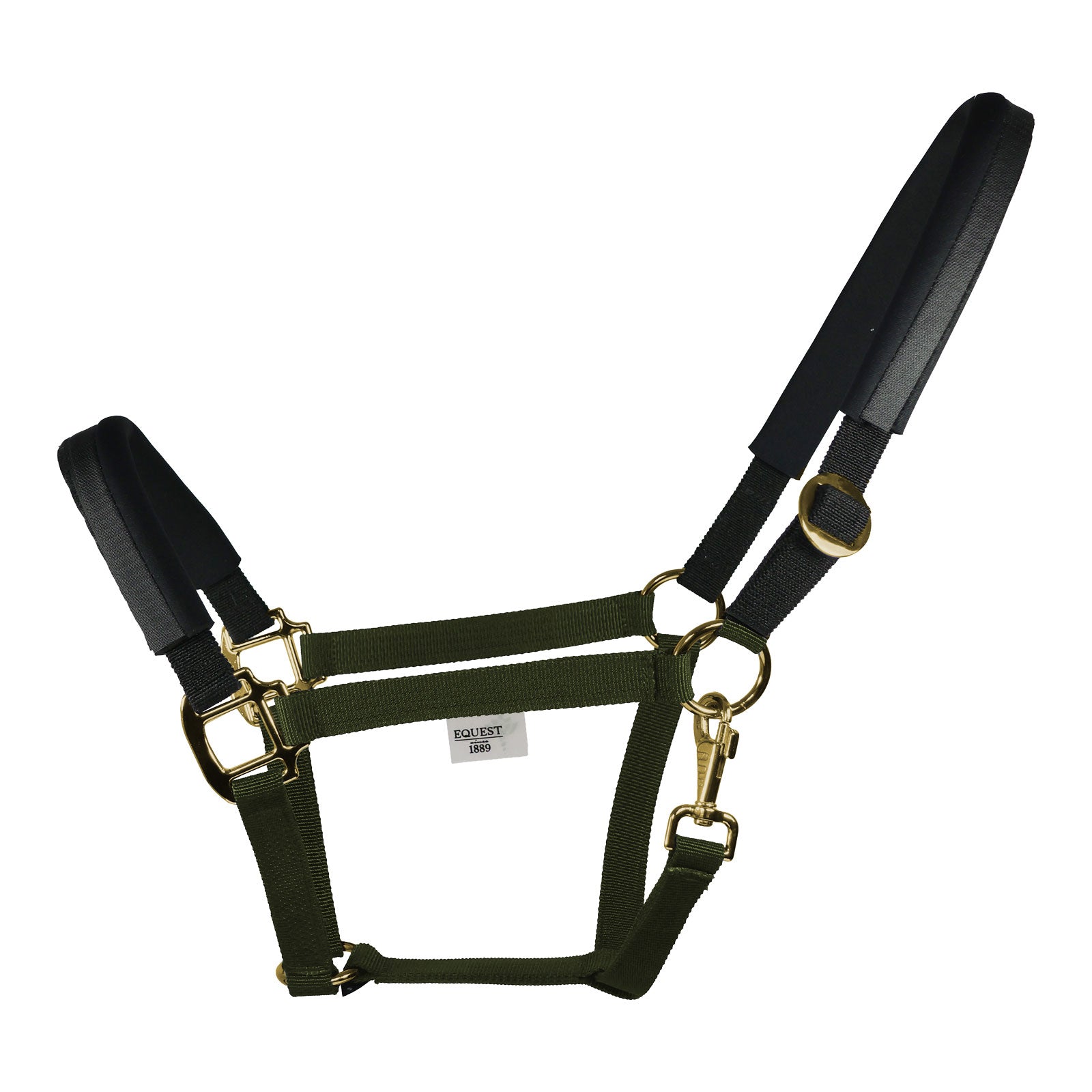EQUEST Halfter EQ Stretch | Messing Finish