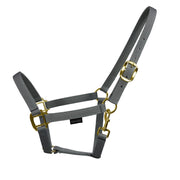 EQUEST halter Uno Xtreme | Brass finish