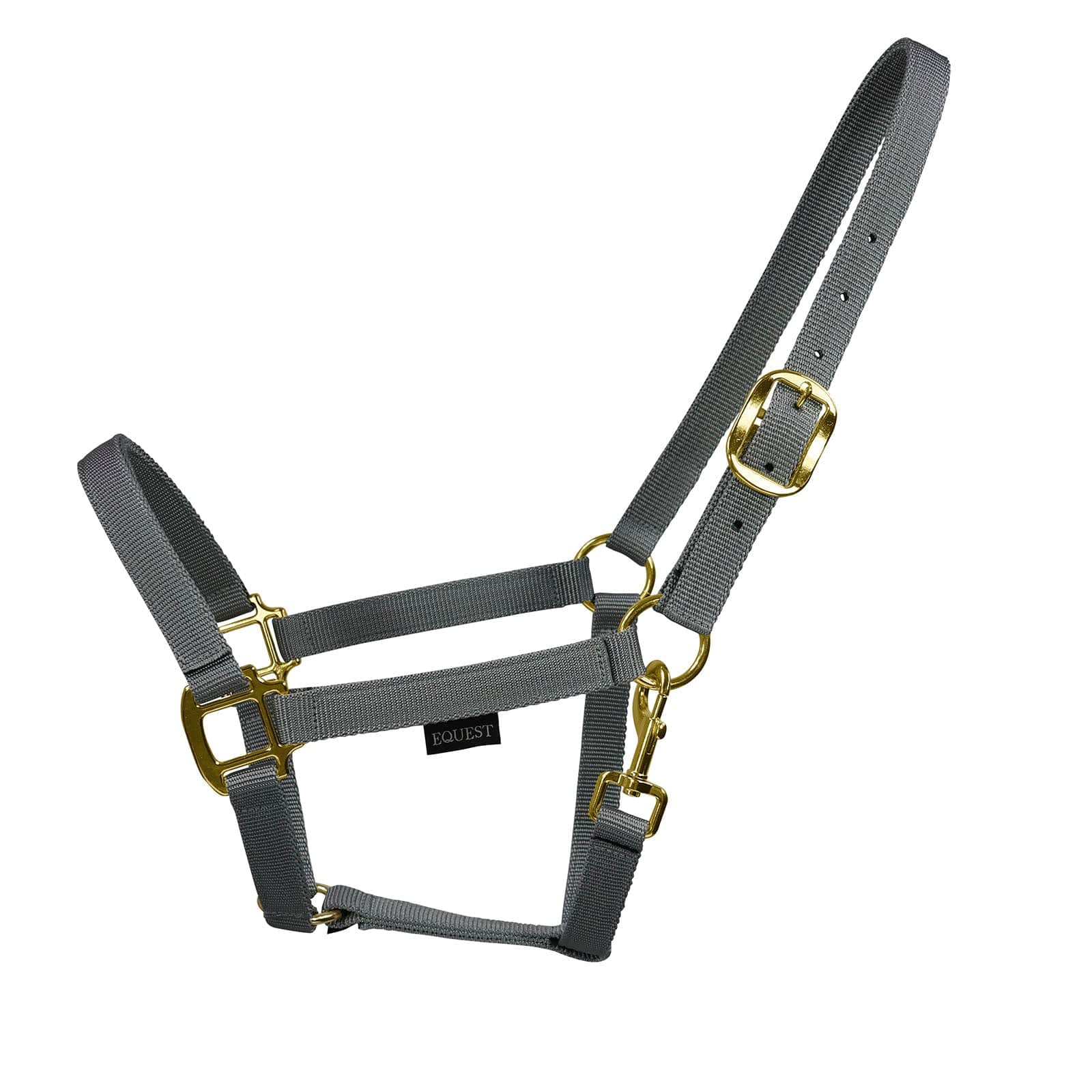 EQUEST Halfter Uno Xtreme | Messing Finish - EQUEST by Hoelscher