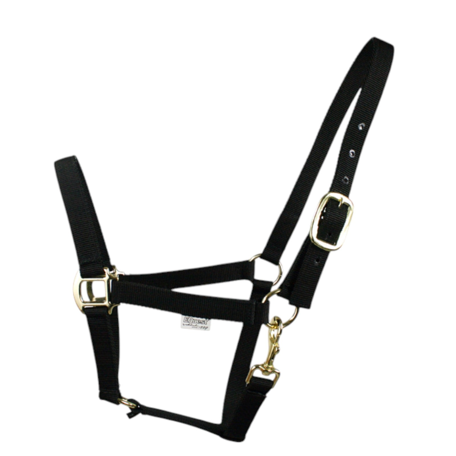 EQUEST halter Uno Xtreme | Brass finish