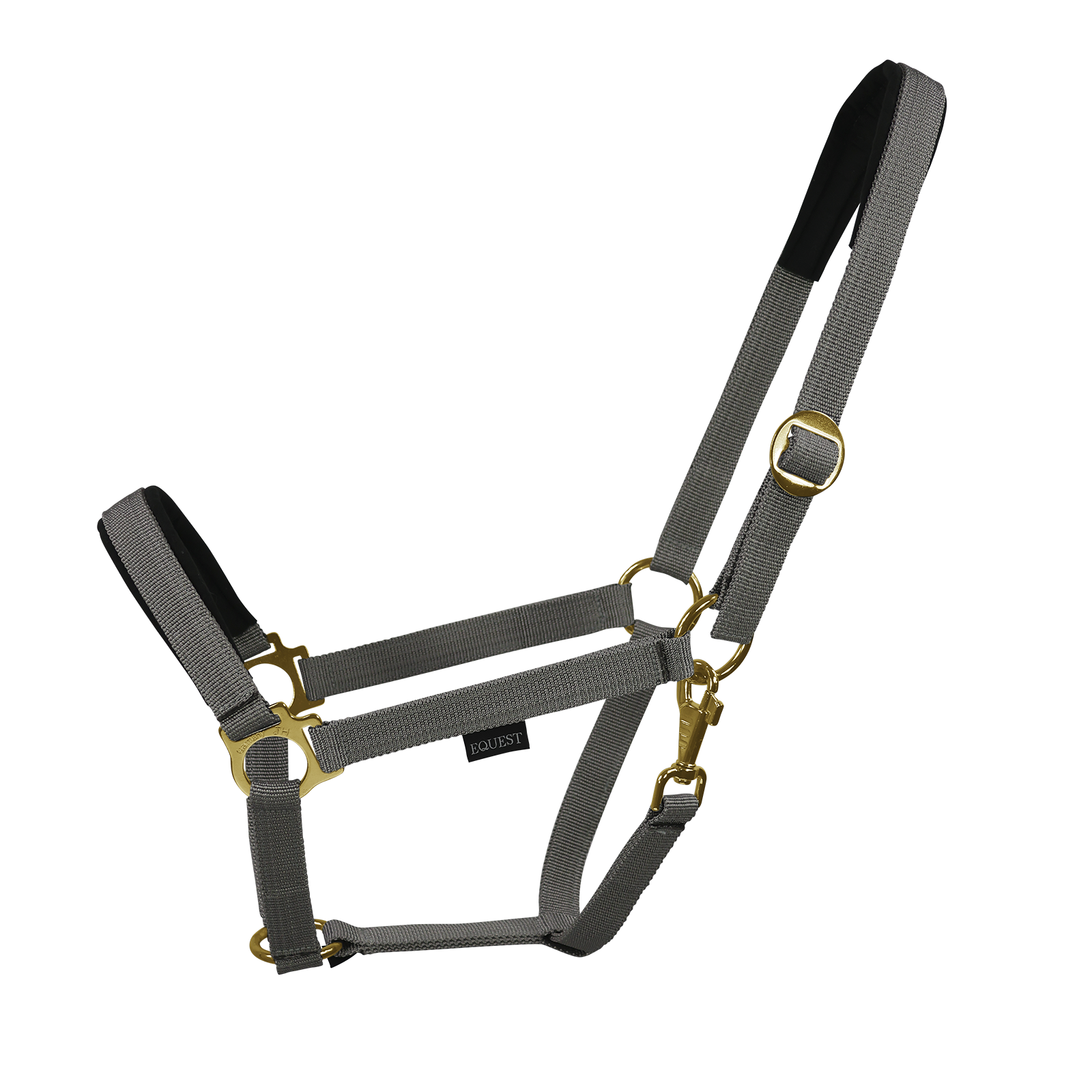 EQUEST Halfter Regular Plus