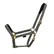 EQUEST Halfter Regular Plus with brass finish, horse halter and lead rope set, durable leather with polished brass accents.