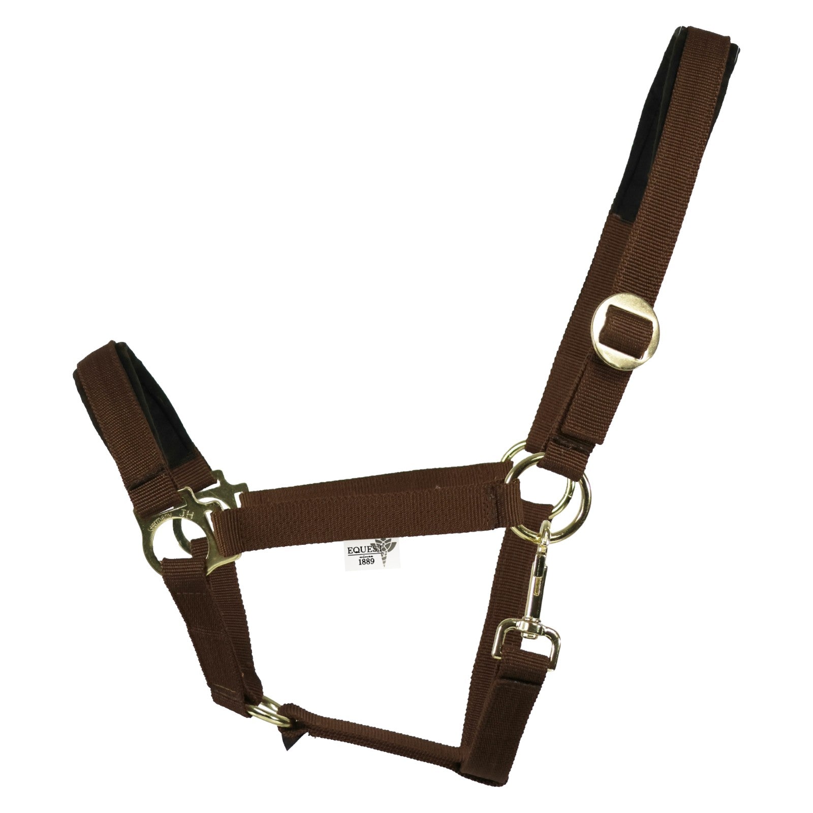 EQUEST Halfter Regular Plus