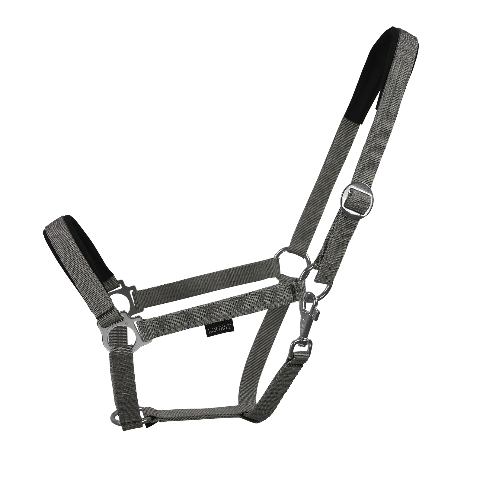 EQUEST Halfter Regular Plus