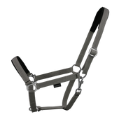 EQUEST Halfter Regular Plus