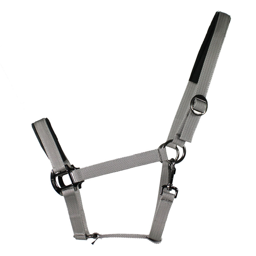 EQUEST Halfter Regular Plus EQ Globe | Black Finish | Einzelstücke