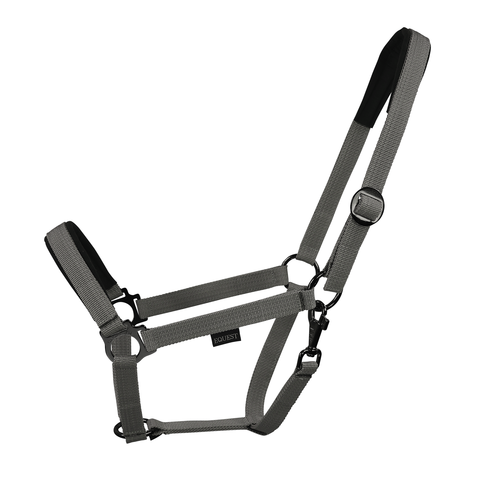 EQUEST Halfter Regular Plus | Black Finish - EQUEST by Hoelscher