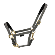 EQUEST Halter Dual Plus | Brass finish