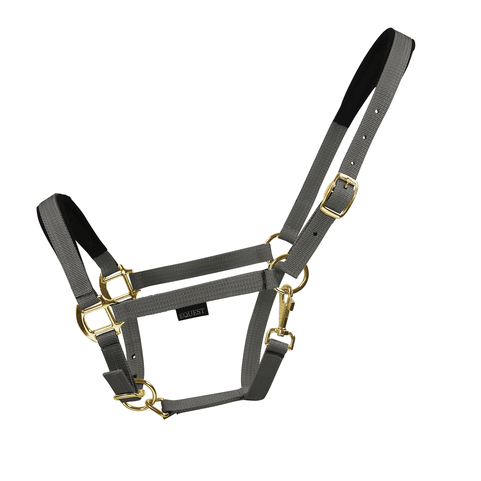 EQUEST Halfter Dual Plus | Messing Finish - EQUEST by Hoelscher