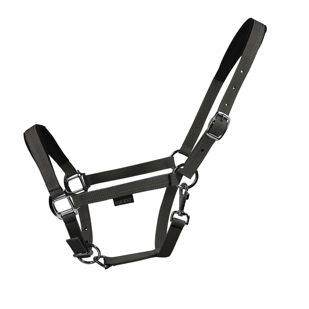Licol EQUEST Dual Plus | Finition chromée