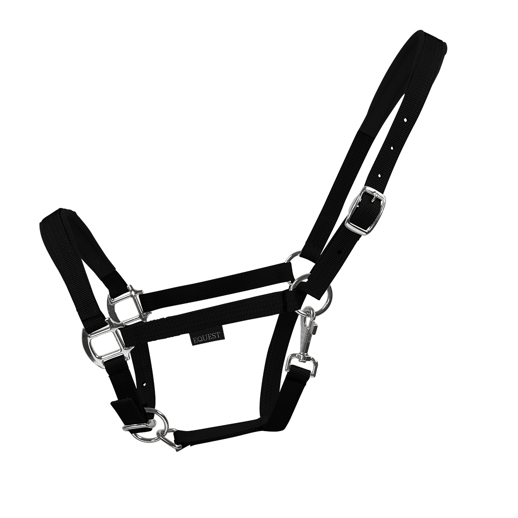 Licol EQUEST Dual Plus | Finition chromée