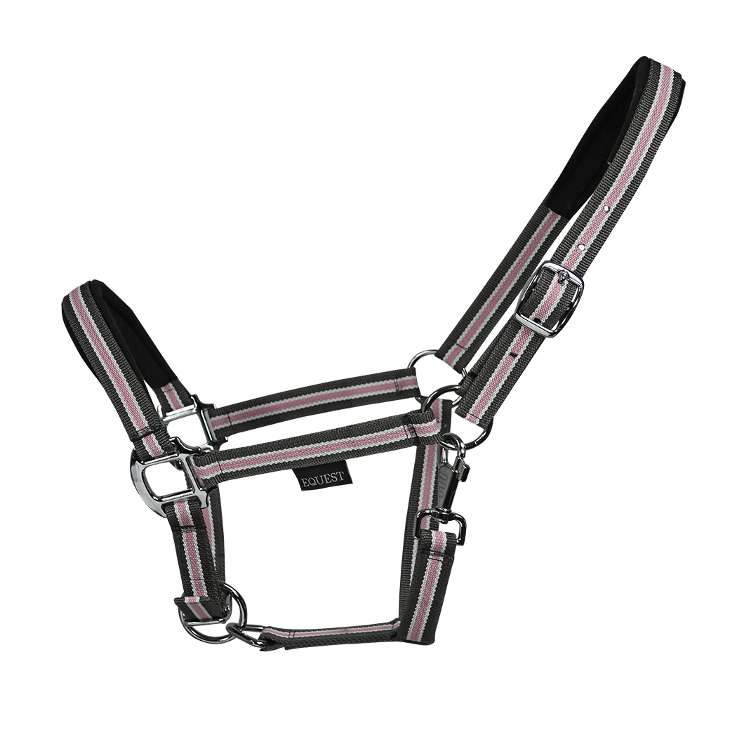 EQUEST Halfter Dual Plus in Strawberry 2 fache Dornschnallen Verstellung Chrom Finish