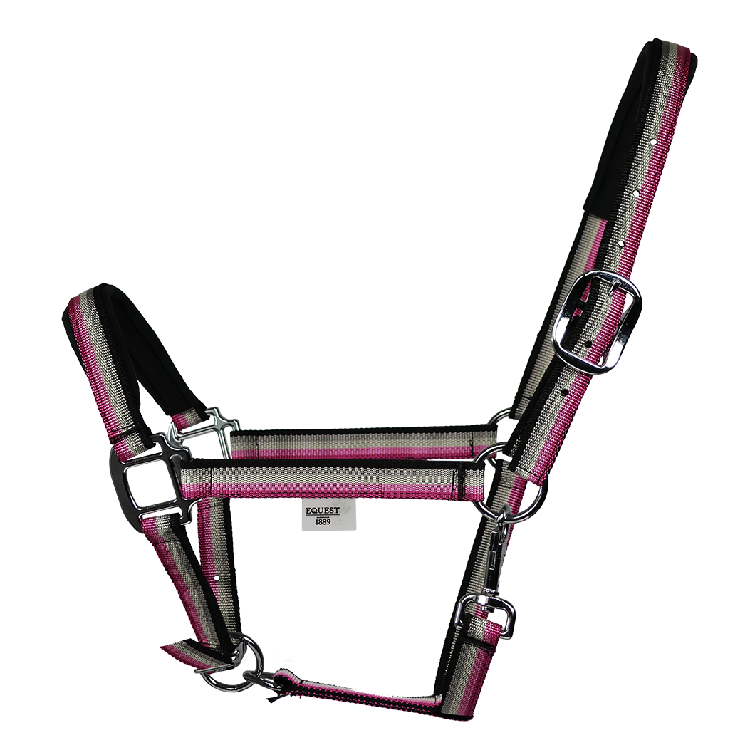 Licol EQUEST Dual Plus | Finition chromée