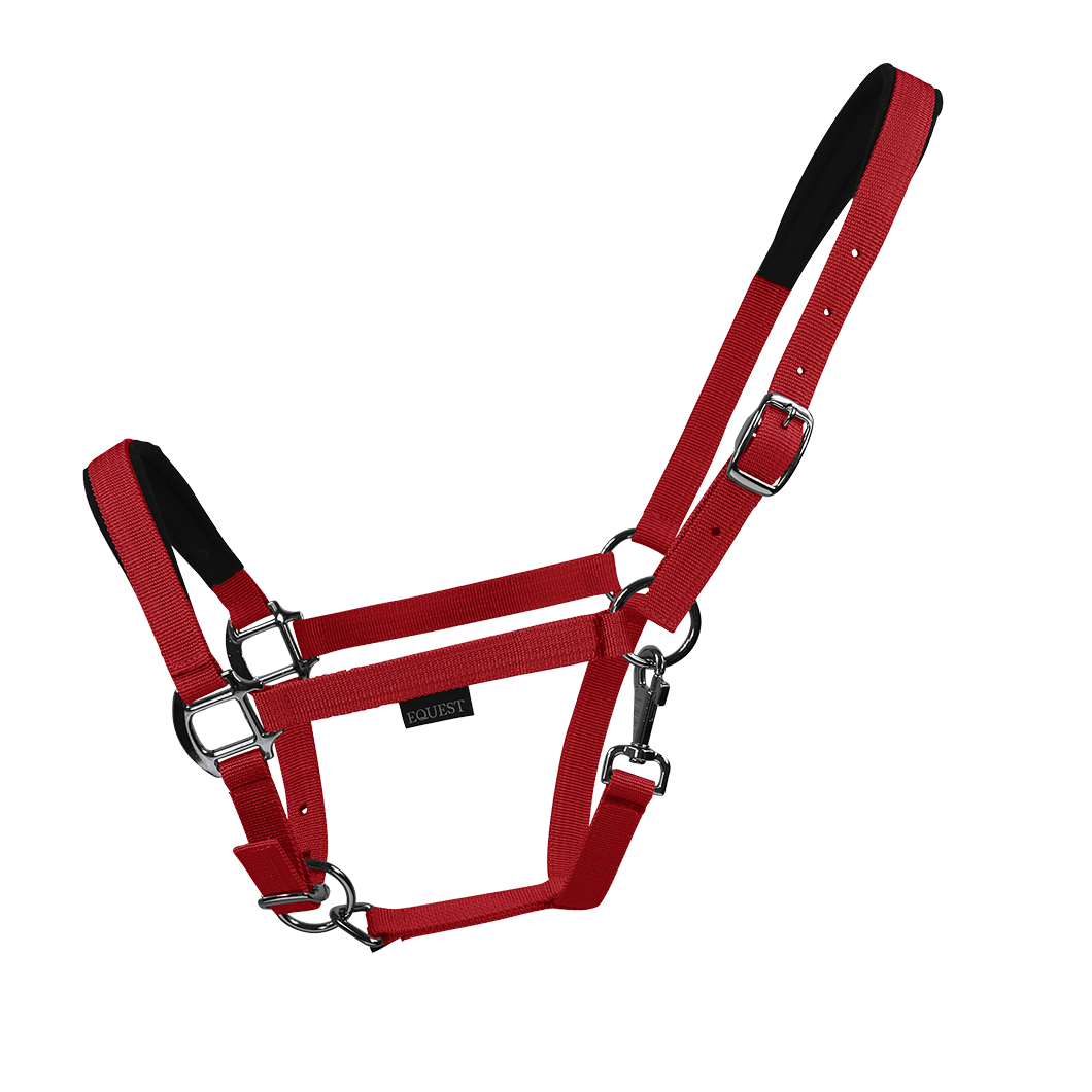 EQUEST Halfter Dual Plus | Chrom Finish