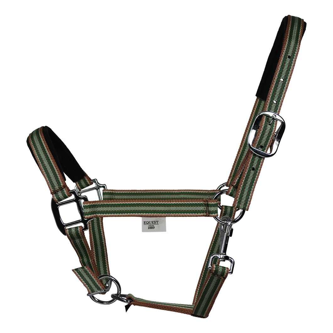 Licol EQUEST Dual Plus | Finition chromée