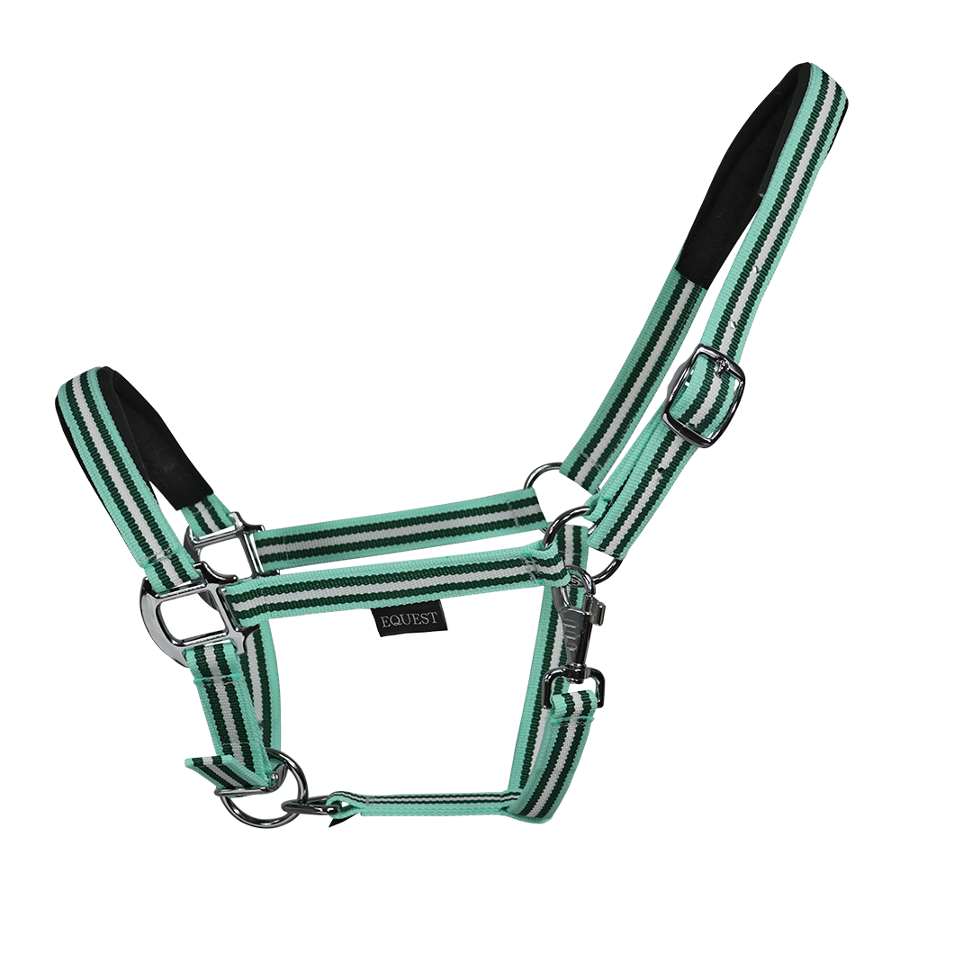 EQUEST Halfter Dual Plus in Green Leaf 2 fache Dornschnallen Verstellung Chrom Finish