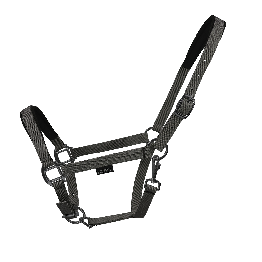 EQUEST Licol Dual Plus | Finition noire