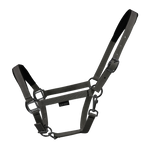 EQUEST Licol Dual Plus | Finition noire