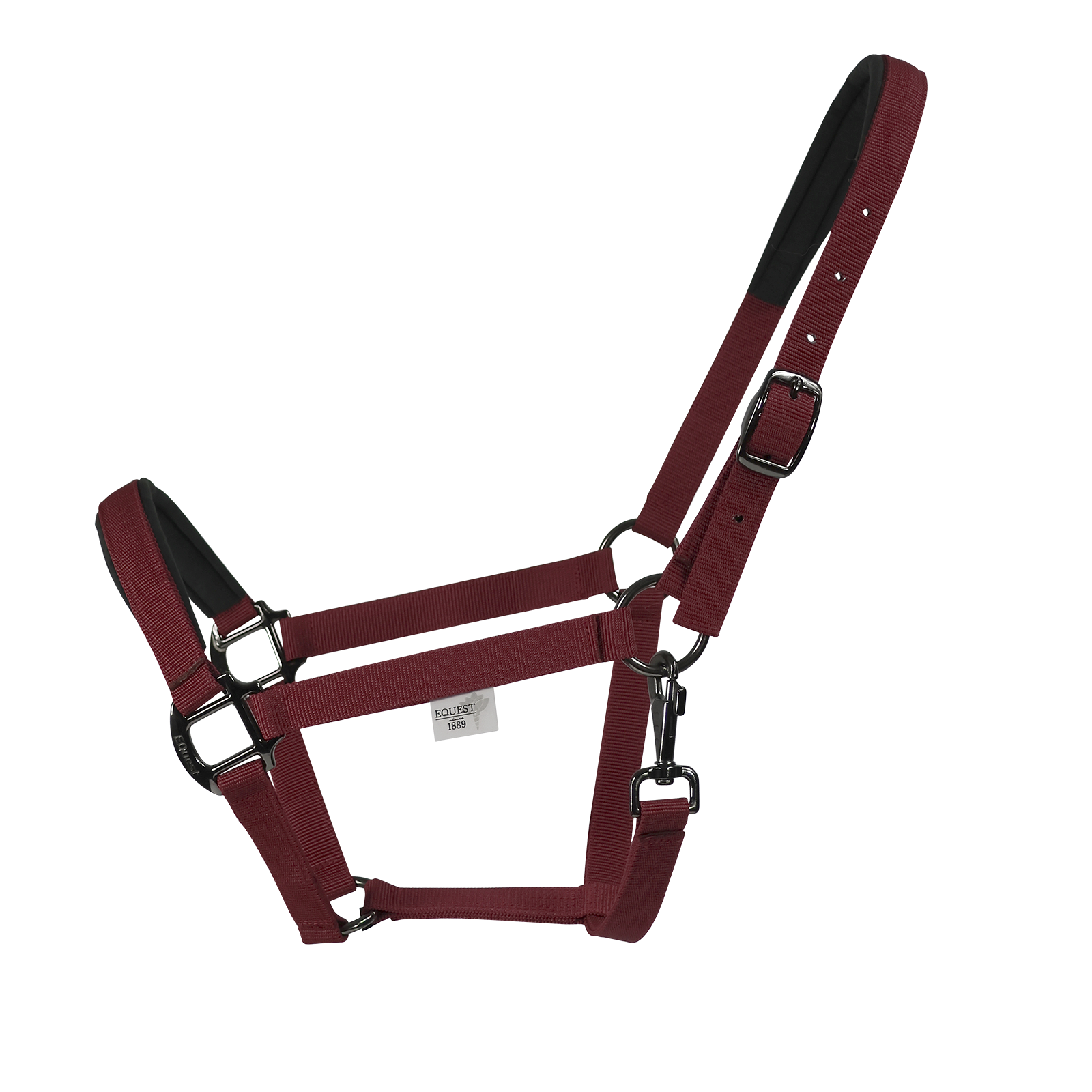 EQUEST Halfter Uno Plus | Black Finish