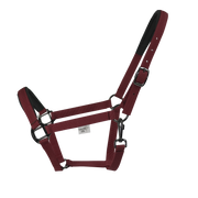 EQUEST Halfter Uno Plus | Black Finish