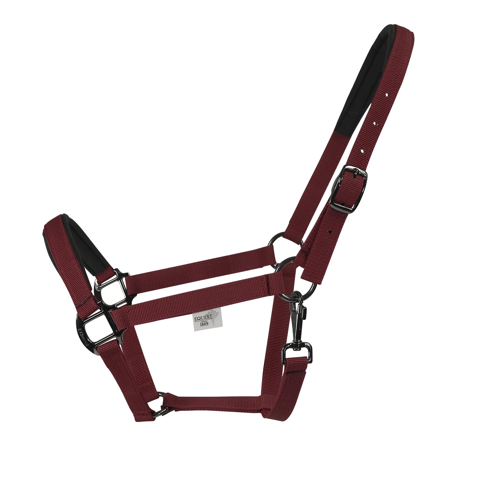 EQUEST Halfter Uno Plus | Black Finish - EQUEST by Hoelscher