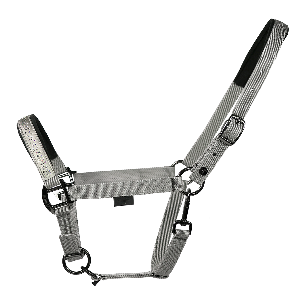 EQUEST Halfter Dual Plus Delight in Grey mit Strasssteinen und Beschlägen im Black Finish