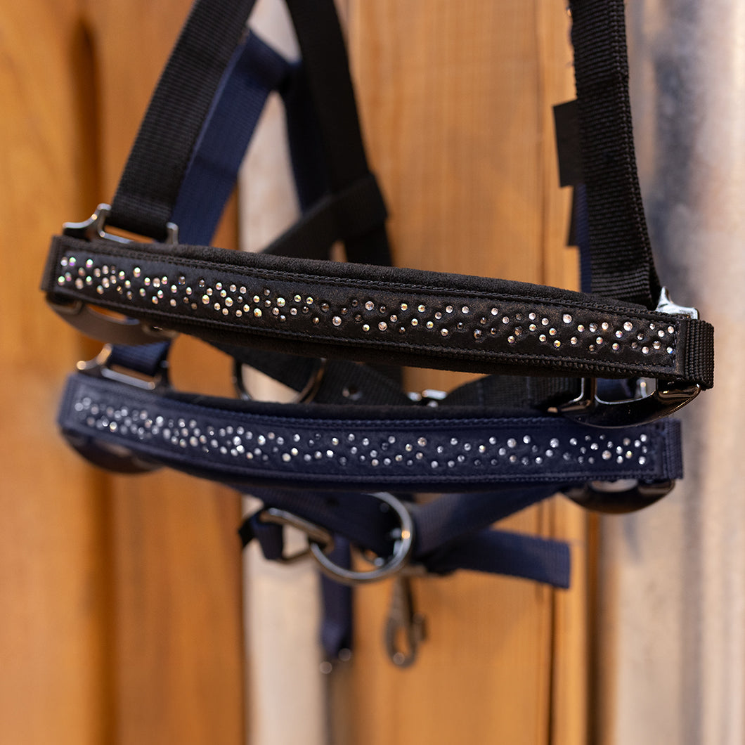 EQUEST Halfter Dual Plus Delight in Navy und Black