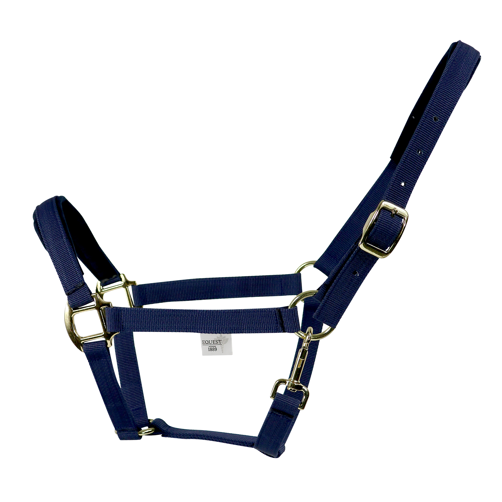 EQUEST Halfter Uno Plus | Messing Finish