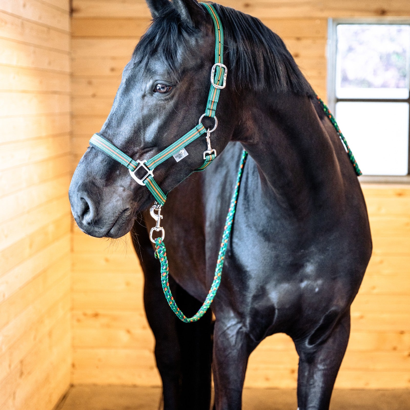 EQUEST Ultimo Führstrick mit Karabinerhaken