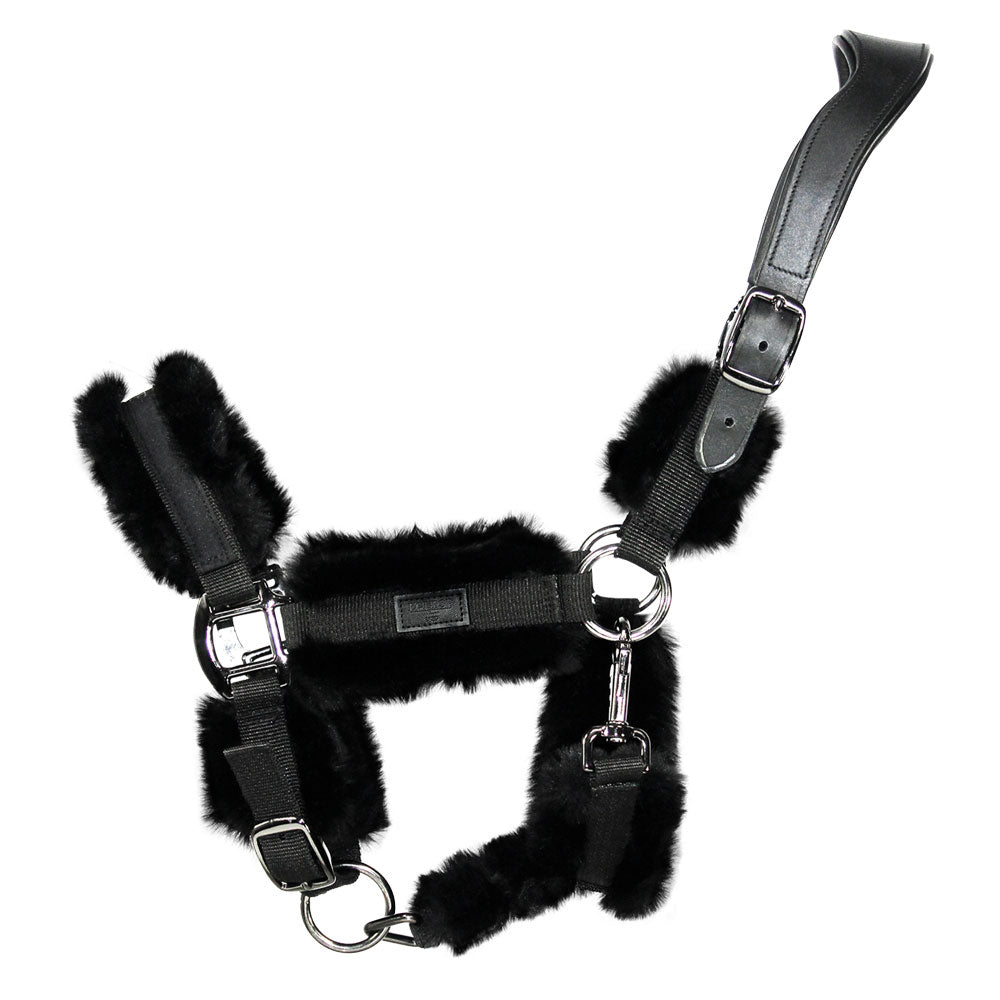 EQUEST Halfter Vario Illusion Anatomical Legend | Black Finish
