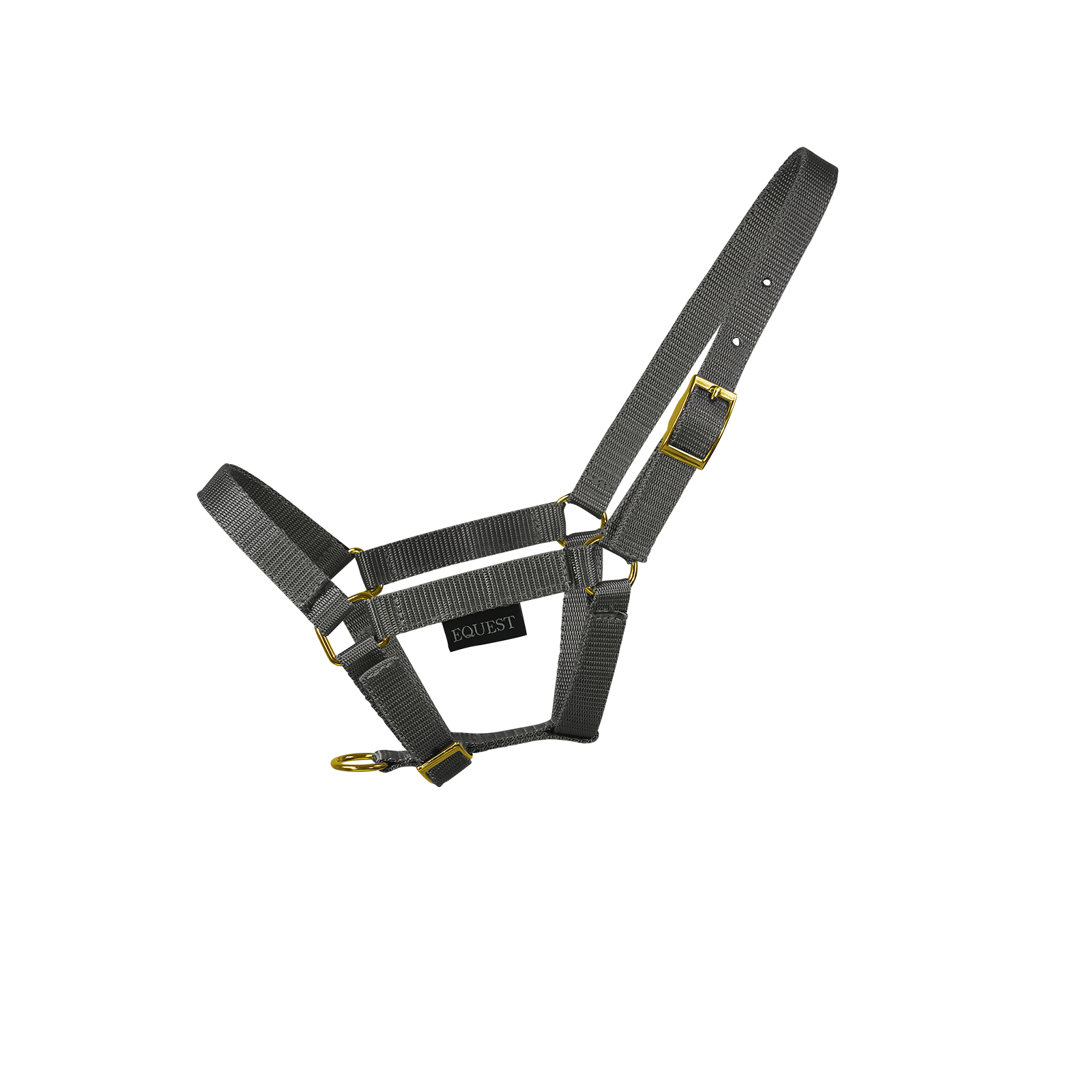 EQUEST Halfter Dual Fohlen | Messing Finish