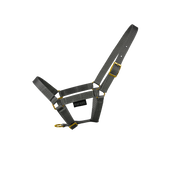 EQUEST Halfter Dual Fohlen | Messing Finish