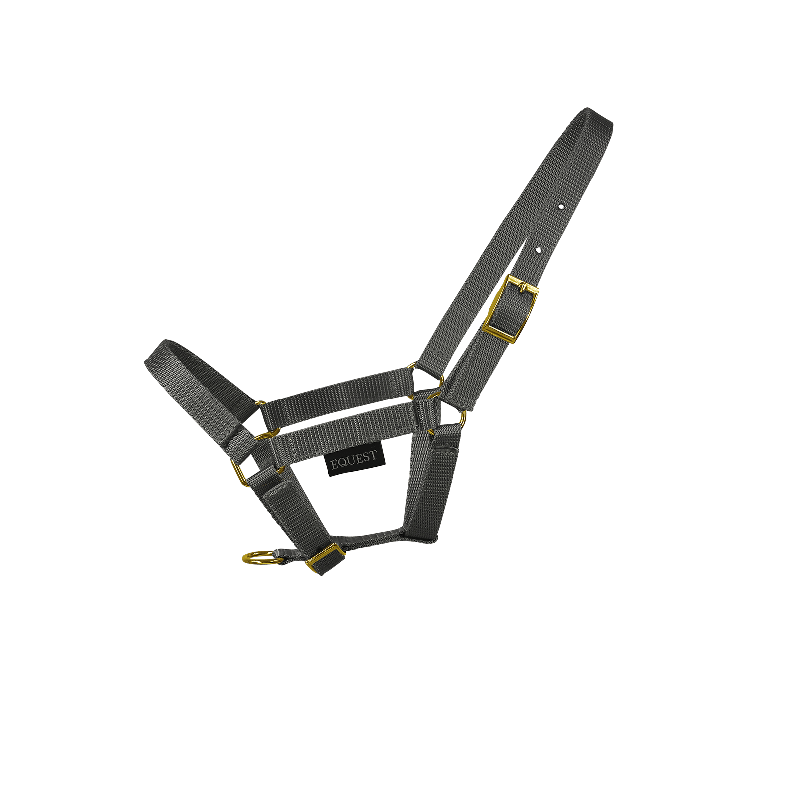 EQUEST Halfter Dual Fohlen | Messing Finish - EQUEST by Hoelscher