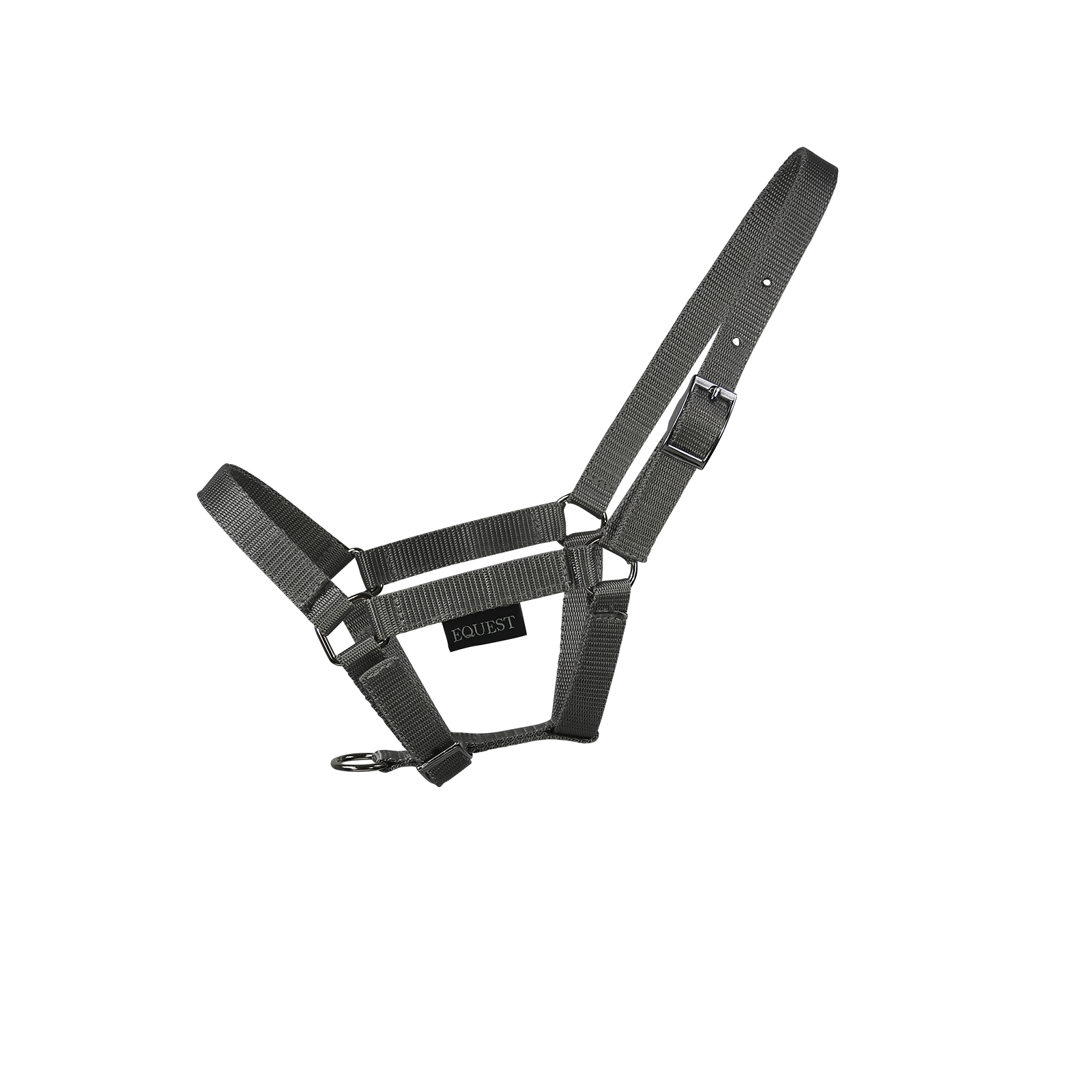 EQUEST Halfter Dual Fohlen | Chrom Finish