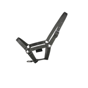 EQUEST Halfter Dual Fohlen | Chrom Finish