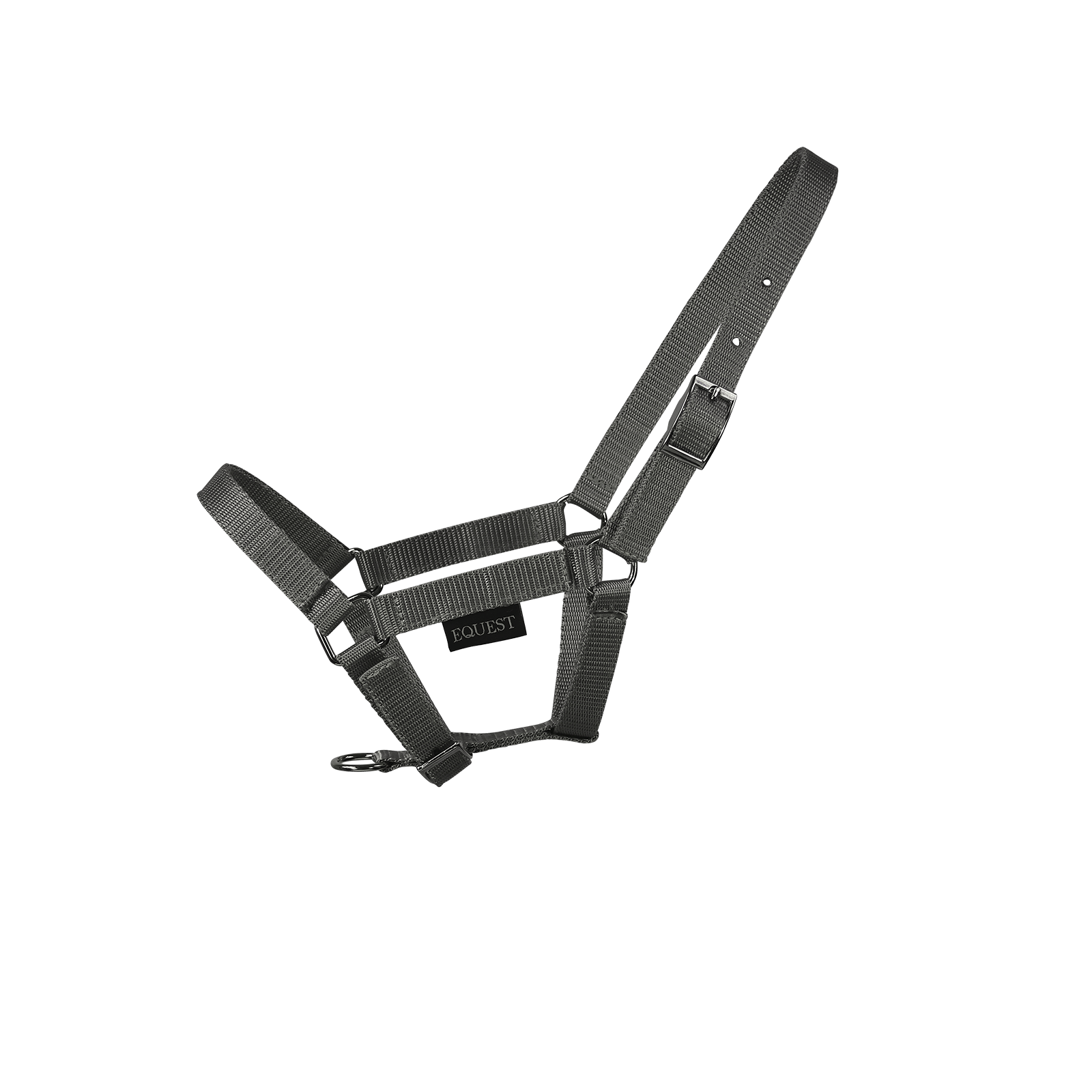 EQUEST Halfter Dual Fohlen | Chrom Finish - EQUEST by Hoelscher