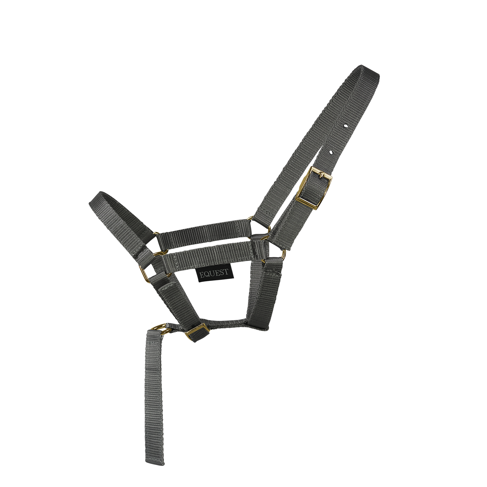 EQUEST Halfter Dual Fohlen mit Haltegriff | Messing Finish