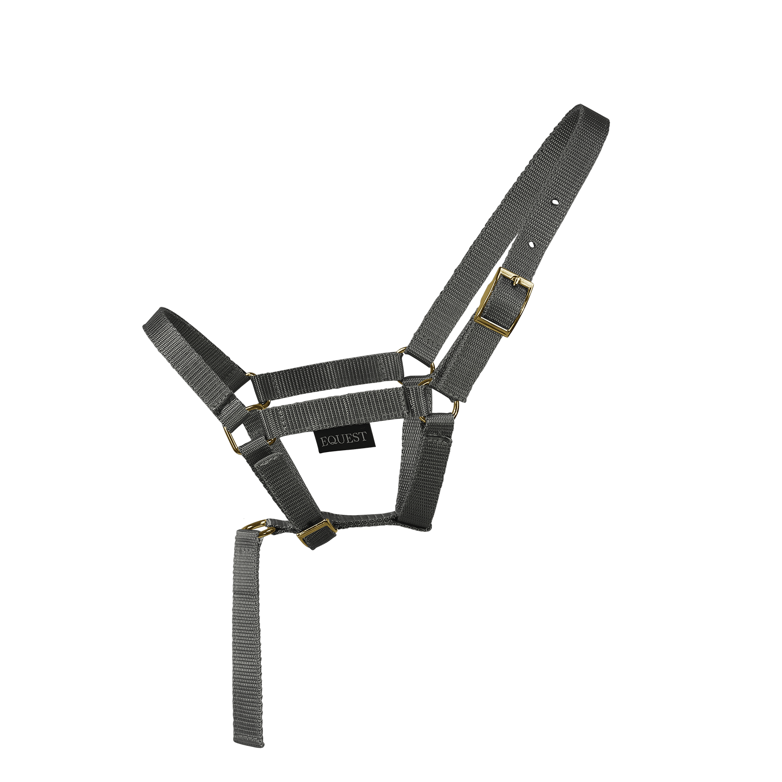 EQUEST Halfter Dual Fohlen mit Haltegriff | Messing Finish - EQUEST by Hoelscher
