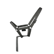 EQUEST Halfter Dual Fohlen mit Haltegriff | Chrom Finish