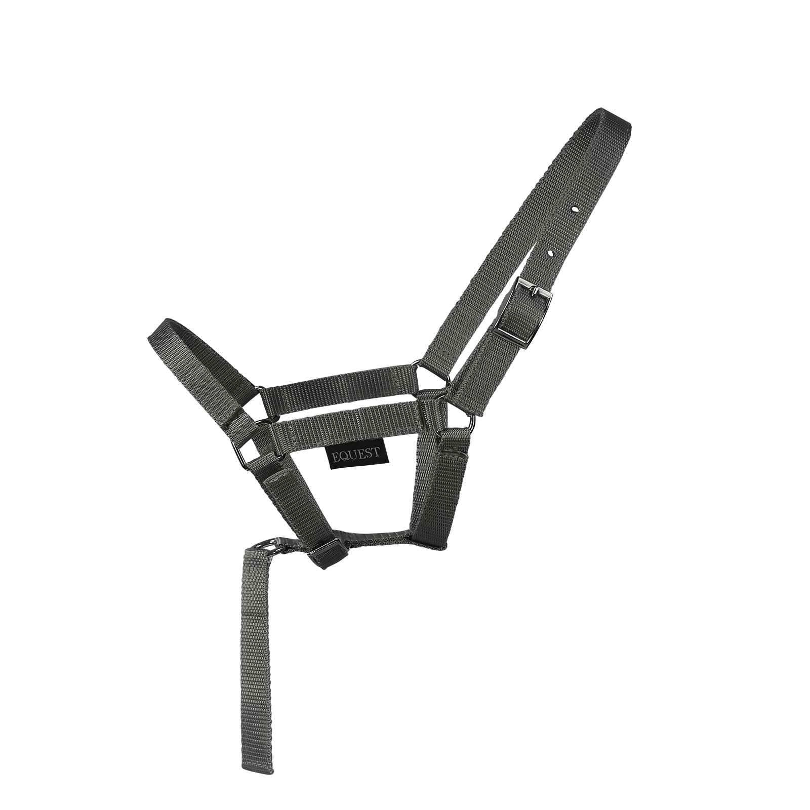 EQUEST Halfter Dual Fohlen mit Haltegriff | Chrom Finish - EQUEST by Hoelscher