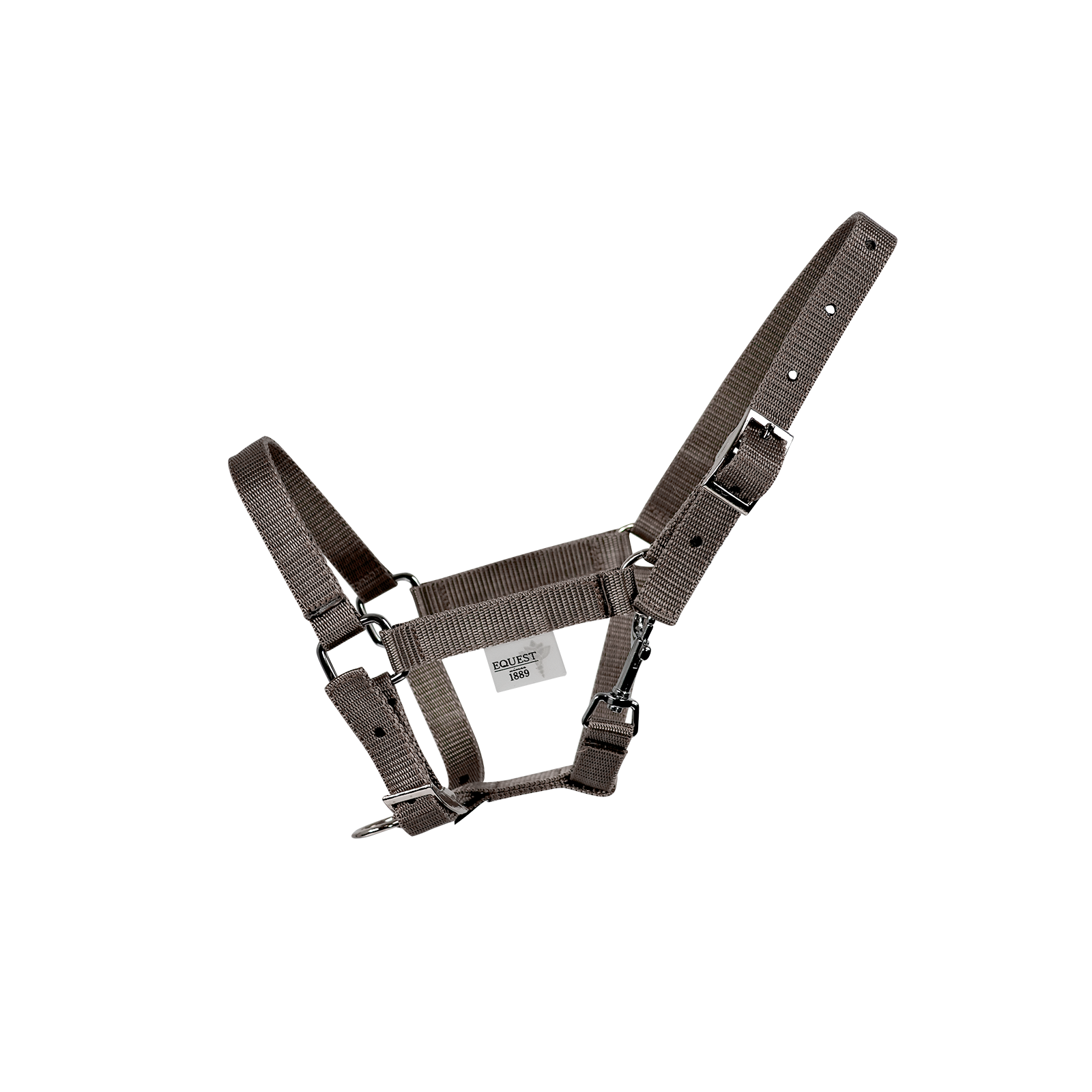 EQUEST Halfter Dual SHETTY